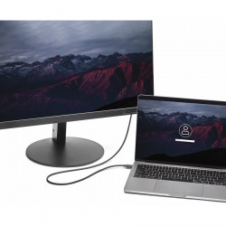 StarTech.com 6ft USB-C to DP Adapter Cable - 4K 60 Hz