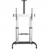 StarTech.com Mobile TV Stand Cart - 60-100in Display