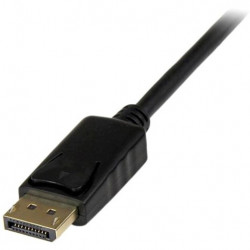 StarTech.com 6 ft DisplayPort to DVI Converter Cable