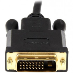 StarTech.com 6 ft DisplayPort to DVI Converter Cable
