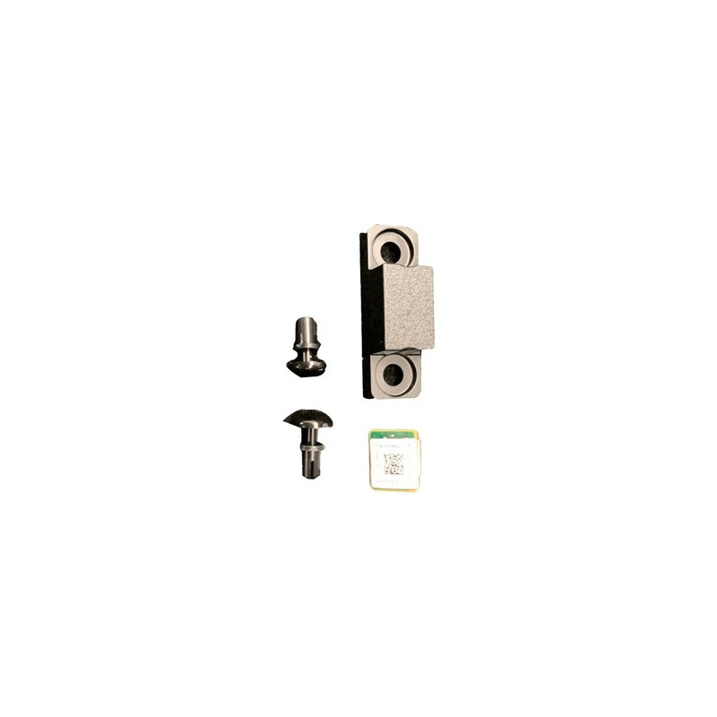 Hewlett Packard Enterprise TPM 2.0 GEN10+ WHITE RIVETS KIT