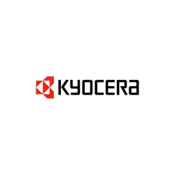 KYOCERA DIMM-1GBSP Memory Upgrade 1 GB
