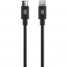 GRIFFIN USB-C TO LIGHTNING CABLE - 6FT