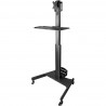 StarTech.com Mobile Workstation Cart w Monitor Mount