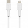 BELKIN BOOST CHARGE Lightning to USB-C Cable 1M