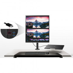 LG 28in SDQHD DualUp Monitor with Ergo Stan