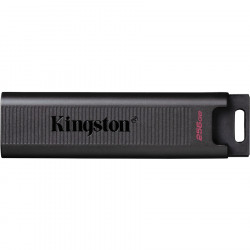 KINGSTON 256GB USB 3.2 DataTraveler Max Gen 2