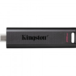 KINGSTON 256GB USB 3.2 DataTraveler Max Gen 2