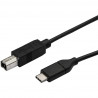 StarTech.com 3m 10 ft USB C to USB B Cable - USB 2.0