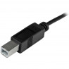 StarTech.com 1m 3ft USB-C to USB-B Cable - USB 2.0