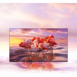 SAMSUNG HQ43A 43 HQ60A QLED HOSPITALITY TV