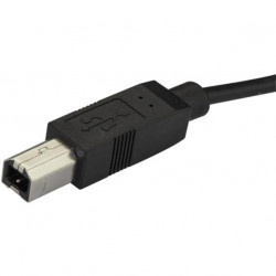 StarTech.com 2m 6ft USB C to USB B Cable - USB 2.0