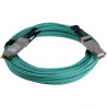 StarTech.com 30m QSFP+ Active Optical Cable
