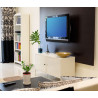 ATDEC FULL MOTION SLIM WALL MOUNT