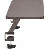 StarTech.com Monitor Riser - Clamp on - Extra Wide