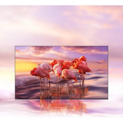 SAMSUNG HQ55A 55 HQ60A QLED HOSPITALITY TV