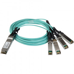 StarTech.com 3m QSFP+ Breakout Cable QSFP+ to 4 SFP+