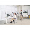 Kensington A1020 swing arm with desk