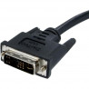 StarTech.com 2m DVI to VGA Display Monitor Cable